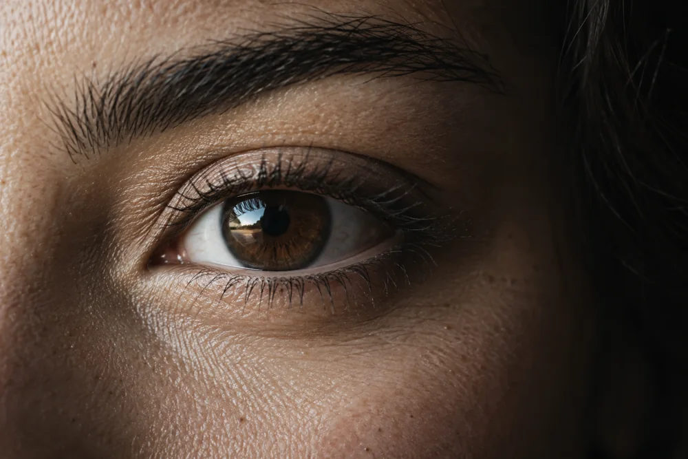 The intricate detail of a human eye